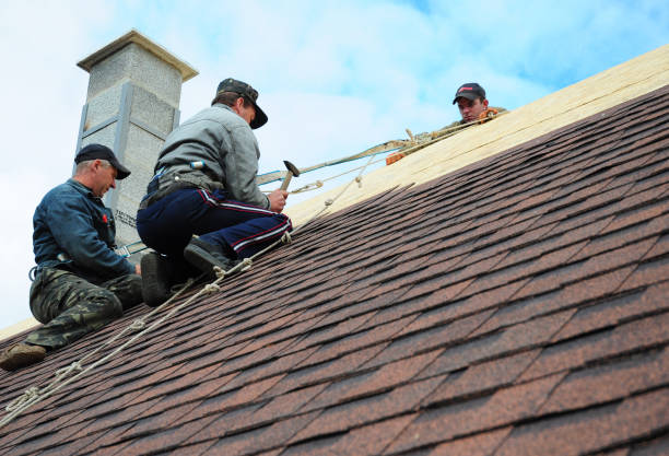 Professional Roofing Contractor in Palm Beach Shores, FL